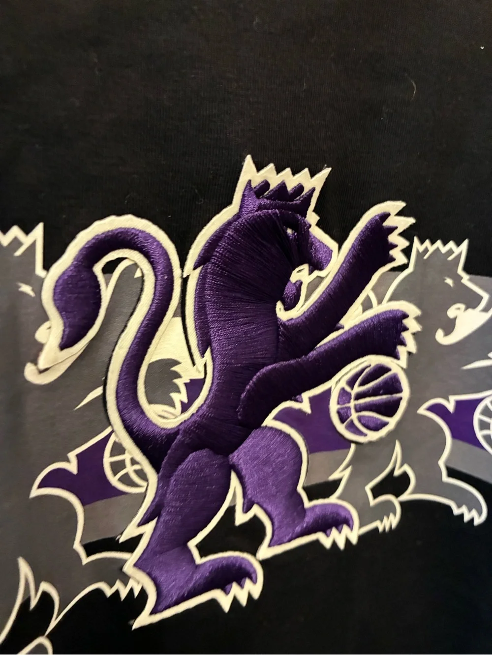 NBA Sacramento Kings Graphic T-Shirt with Purple Lion Crest